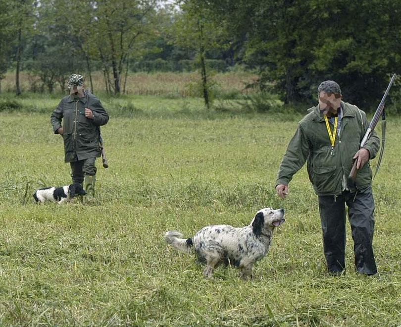 Ferita dal cacciatore a San Vito, la ricostruzione: colpita da 20 pallini