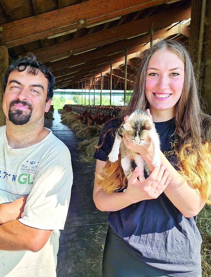 La Fattoria Biogold: «Troppi spari dei cacciatori, i nostri animali hanno paura»