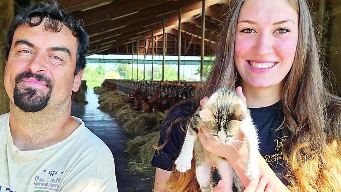 La Fattoria Biogold: «Troppi spari dei cacciatori, i nostri animali hanno paura»