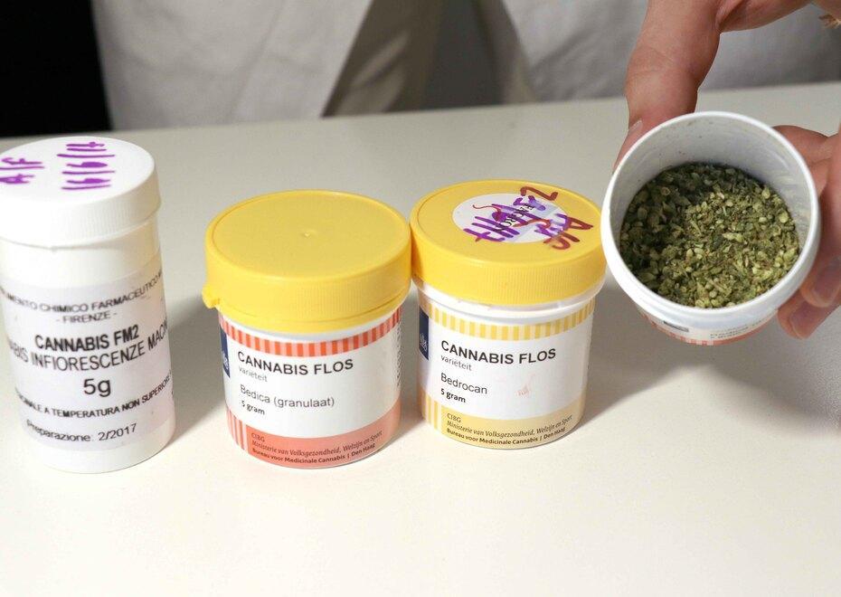 Calcinaia, la cannabis è l'unica cosa che gli fa passare i dolori ma arriva sempre in ritardo: il calvario di un 60enne ammalato