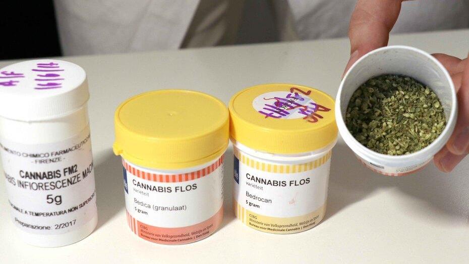 Calcinaia, la cannabis è l'unica cosa che gli fa passare i dolori ma arriva sempre in ritardo: il calvario di un 60enne ammalato