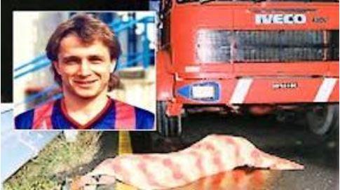 Omicidio Bergamini, l’avvocato Anselmo: «Isabella non è cambiata»