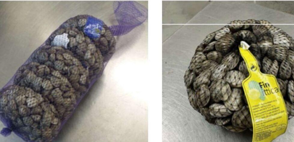 Goro, vongole ritirate per Escherichia coli