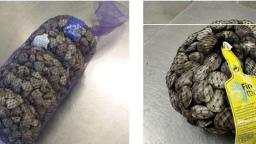 Goro, vongole ritirate per Escherichia coli