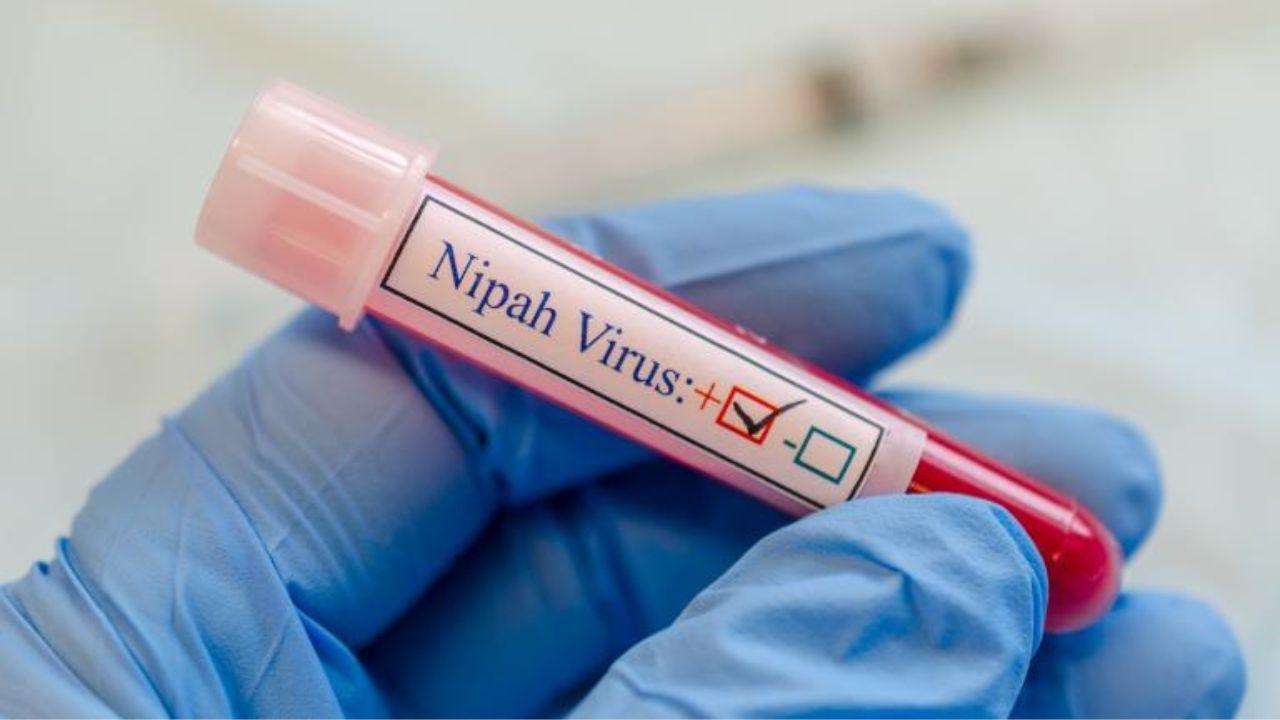 Il virus Nipah fa paura