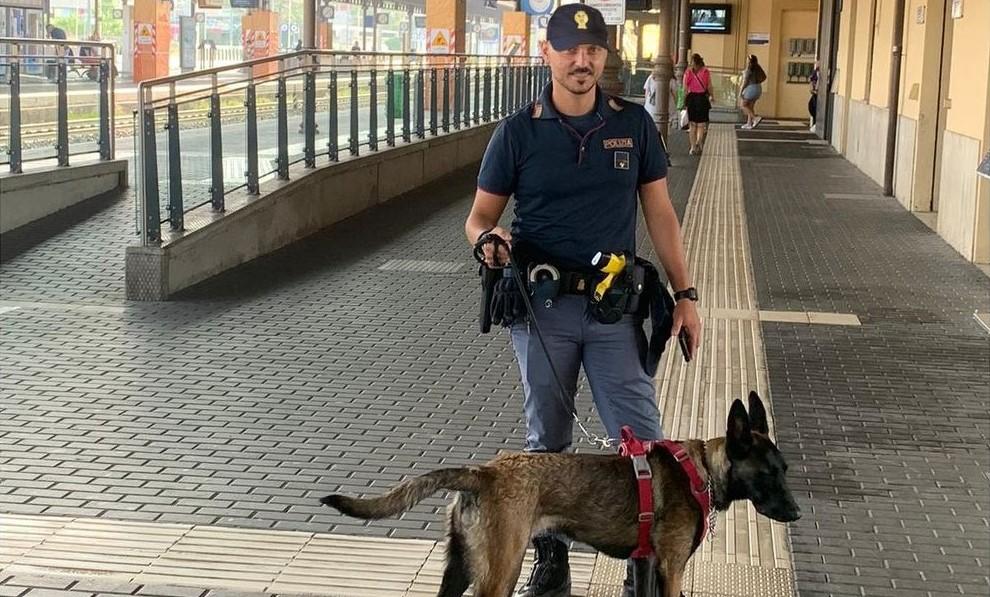 Cucciola di pastore belga scende dal treno a Modena e va sui binari: salvata