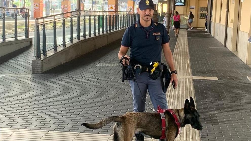 Cucciola di pastore belga scende dal treno a Modena e va sui binari: salvata