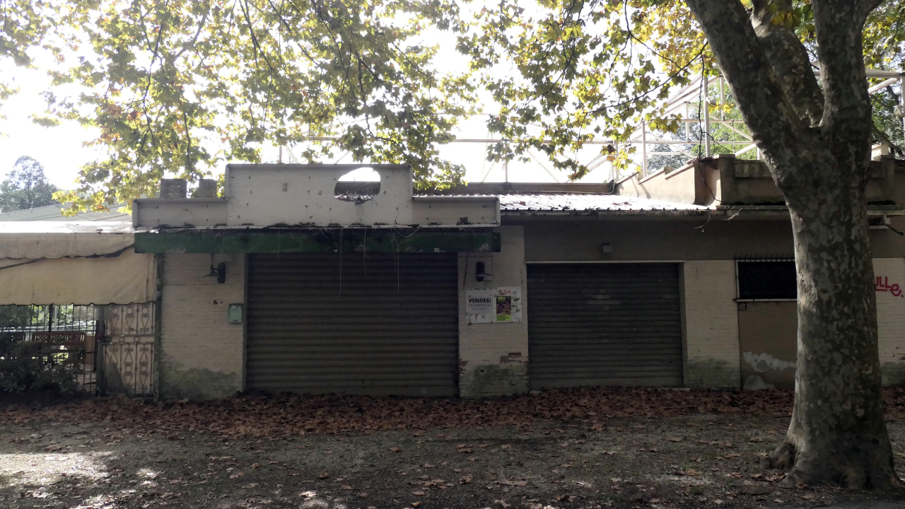 Il Pino sul Tetto oggi, nella foto (di Paglianti)