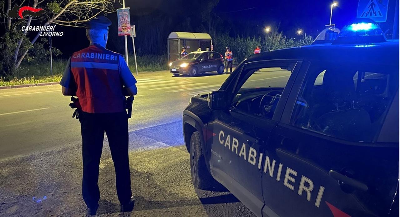
	Carabinieri al lavoro (foto d'archivio)

