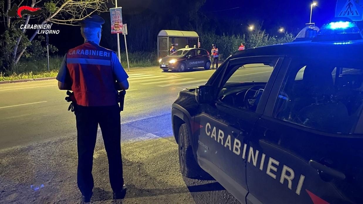 Carabinieri al lavoro (foto d'archivio)