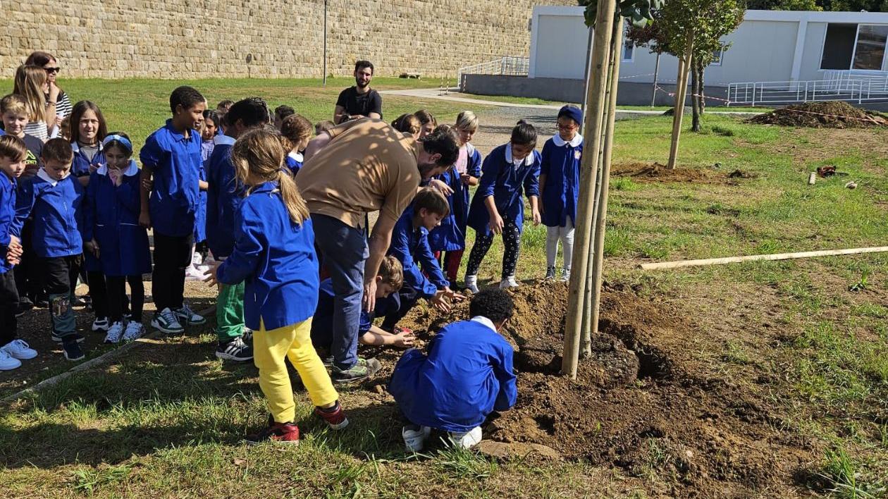 Livorno, i bimbi del comprensivo Micheli-Lamarmora piantano tigli al parco delle Mura Lorenesi