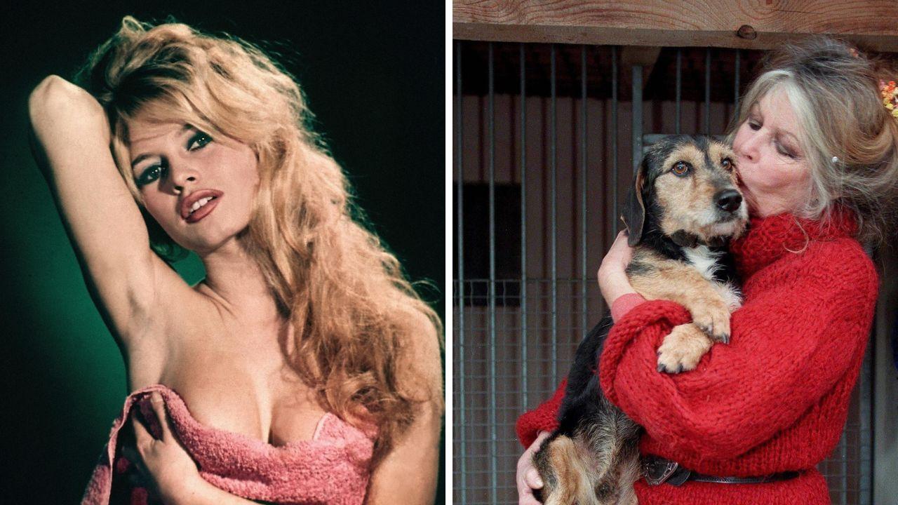 Brigitte Bardot, i 90 anni alla donna che “Piace a troppi”. In Toscana un suo grande successo (che scandalizzò la Francia)