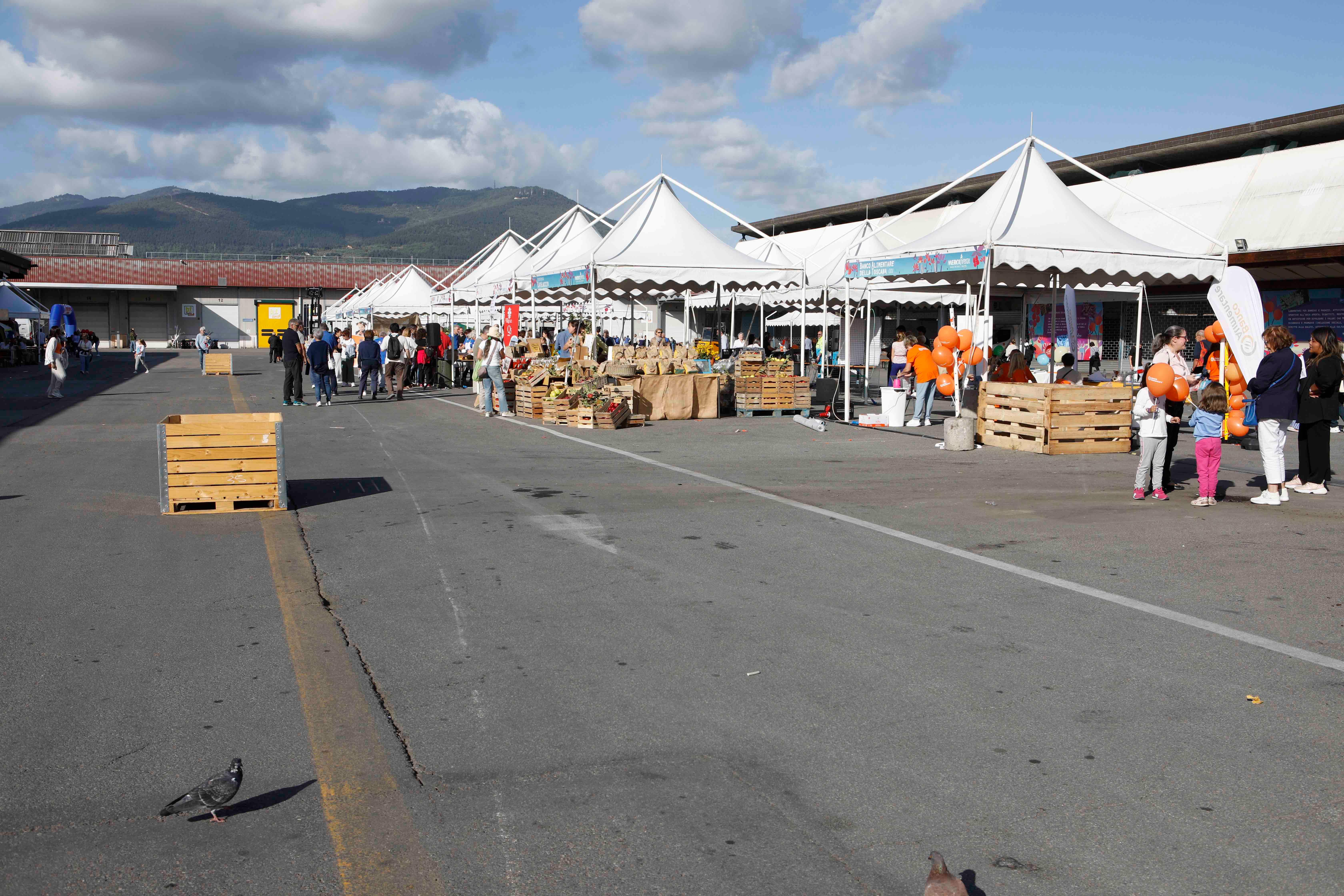 L'open day di ieri alla Mercafir