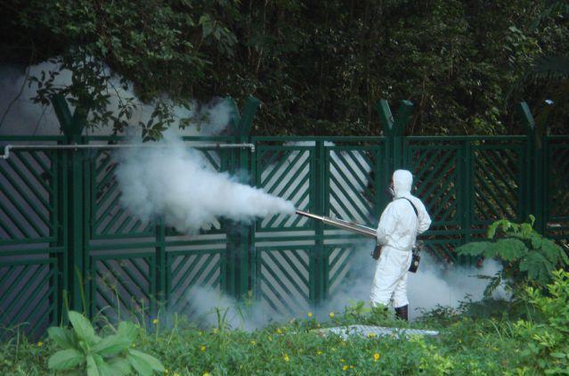 Un caso di Dengue a Mirandola: partono le disinfestazioni