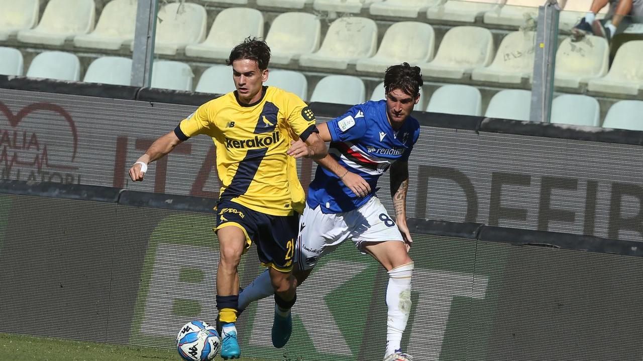 Il Modena cade al Braglia: Tutino e Coda trascinano la Samp