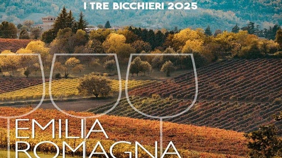 Lambrusco al top per il Gambero Rosso: 7 vini modenesi tra i migliori 15 emiliani, ecco quali