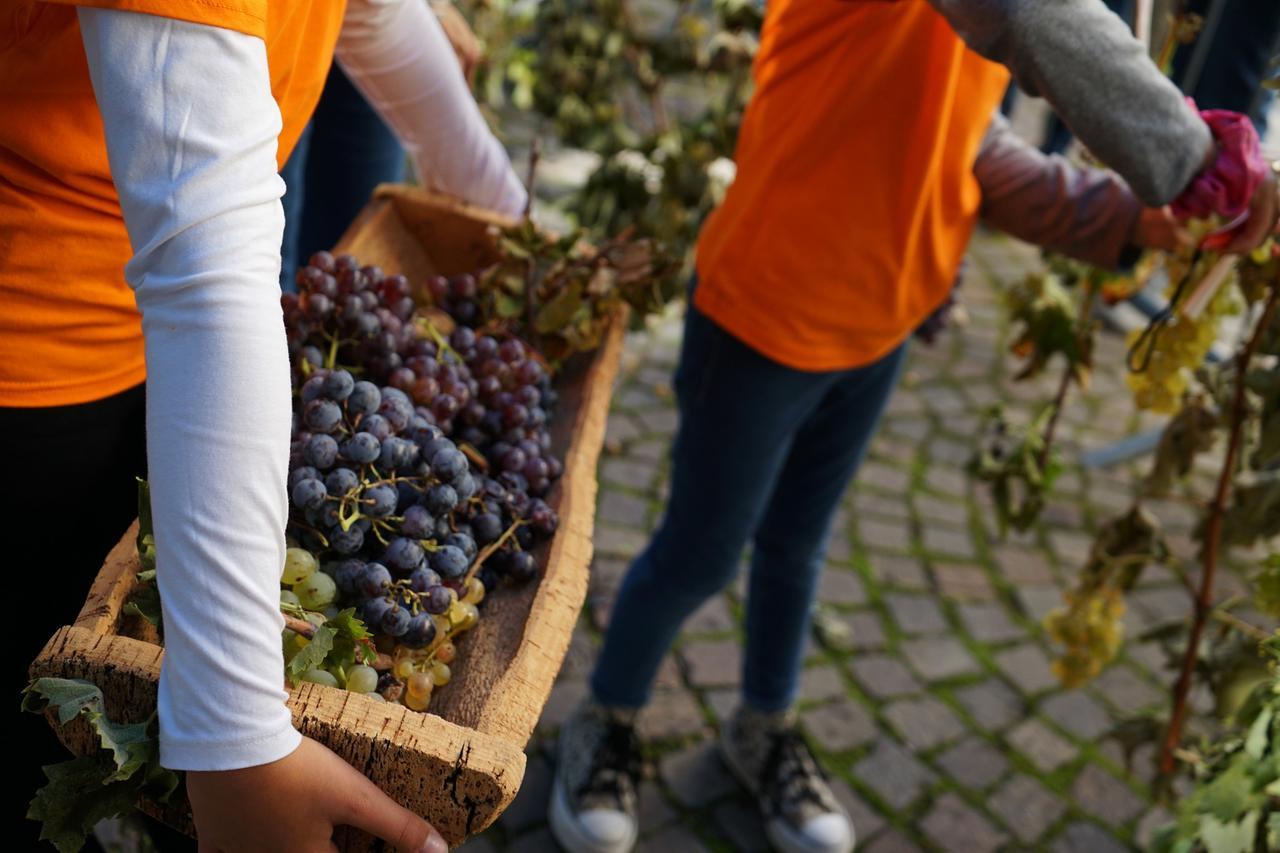“BorgoDiVino” sbarca a Tempio: in vetrina le eccellenze dell’isola