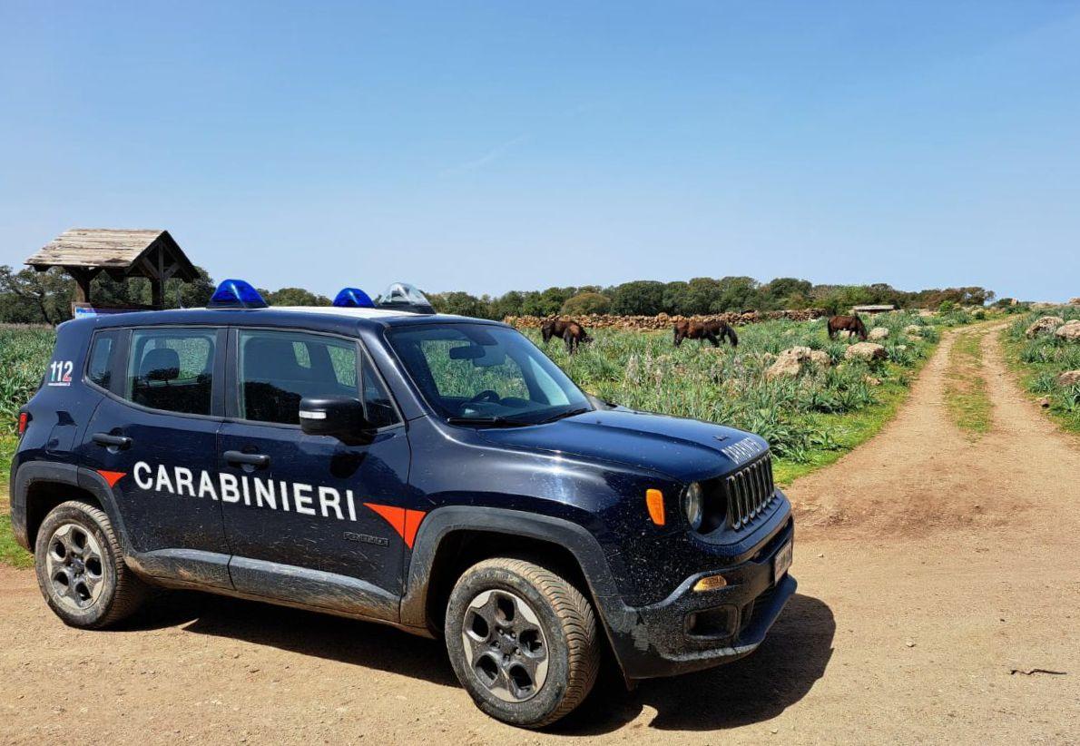 Tuili, fucilate contro l’allevatore che aveva bastonato il suo cane