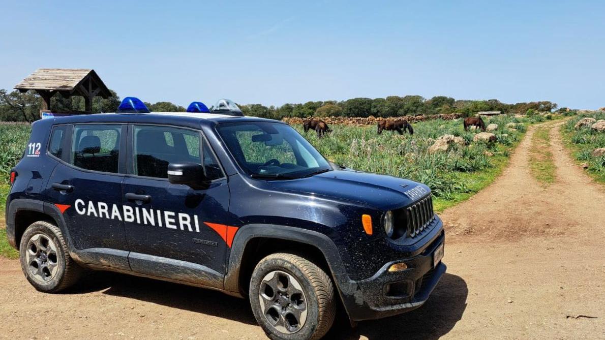 Tuili, fucilate contro l’allevatore che aveva bastonato il suo cane