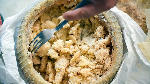 I 10 cibi più insoliti che si possono mangiare in Sardegna: dal formaggio coi vermi alle lumache