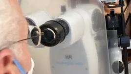 Ferrara, visite specialistiche domenicali. Si prenota a partire da questa mattina