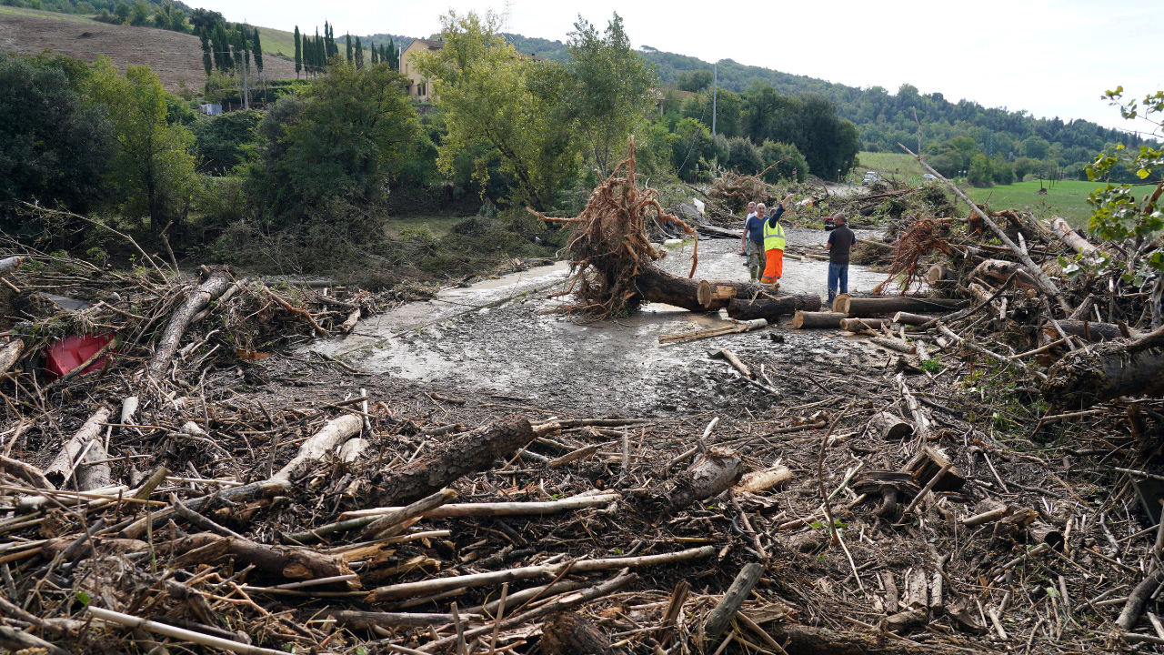 Alberi, tronchi e detriti portati via dalla piena del torrente Sterza