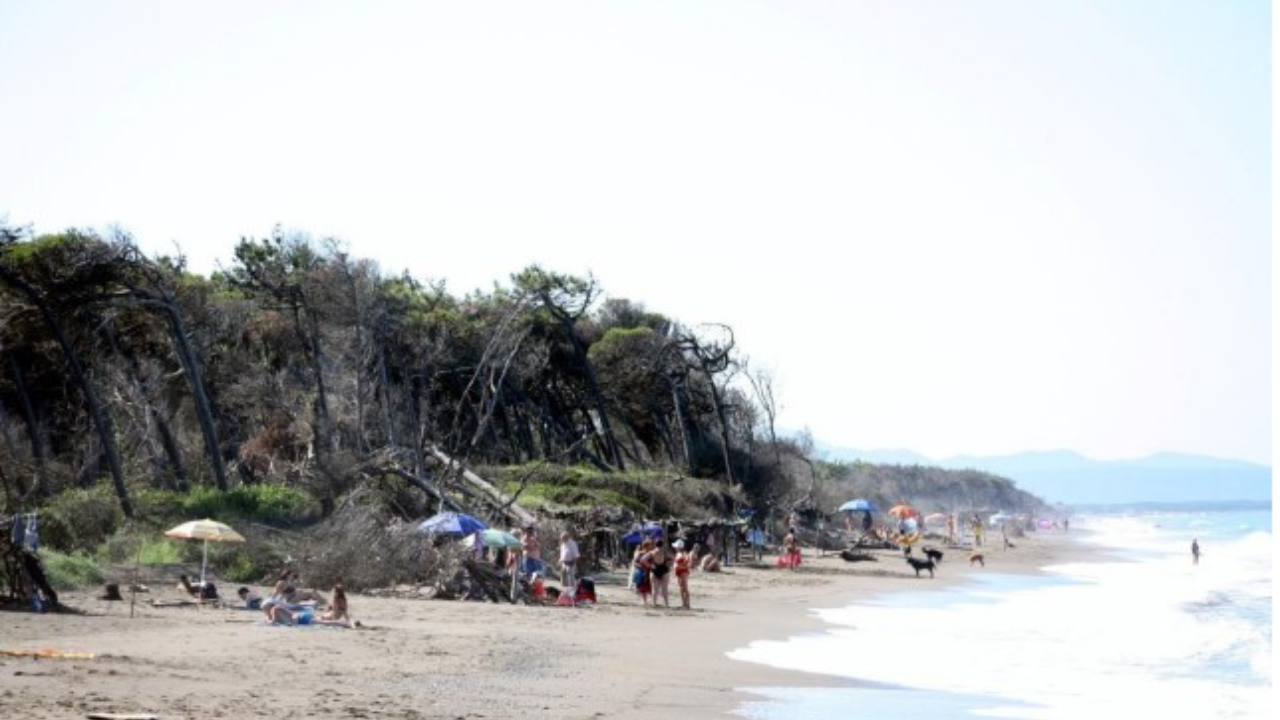 La spiaggia del Tombolo sud erosa costantemente dal mare (foto Falorni /Silvi)