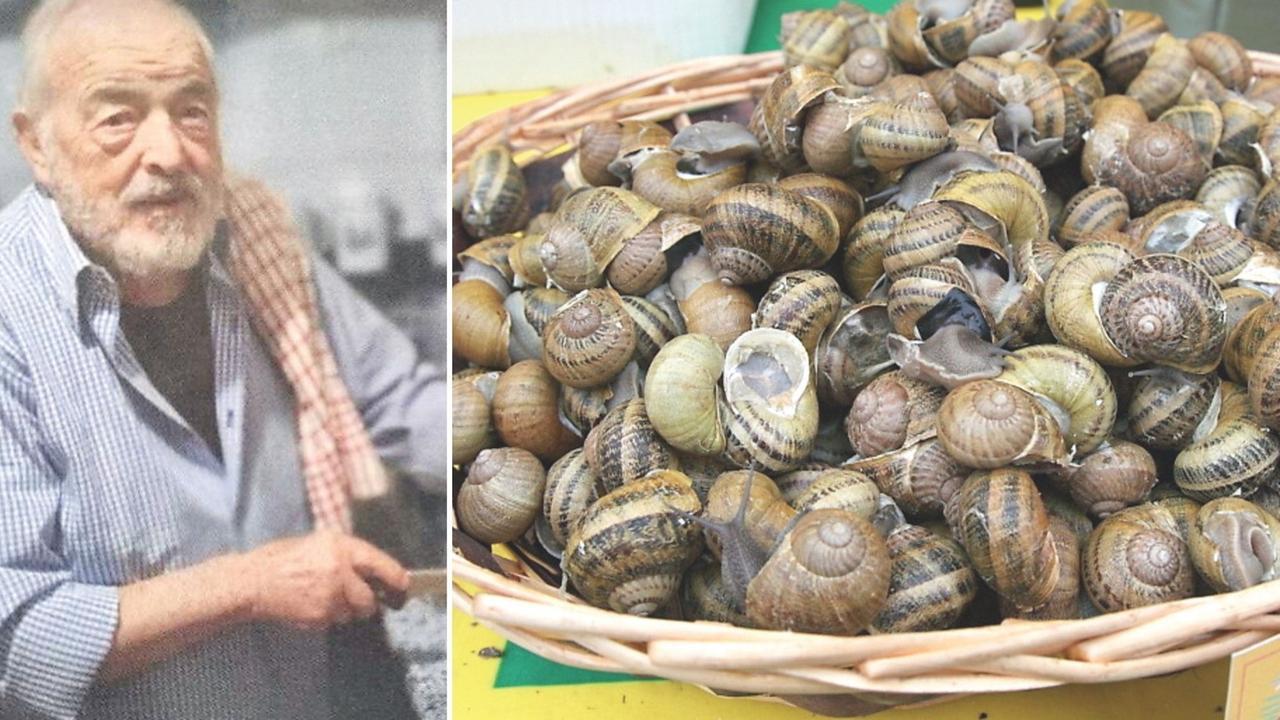Raimondo Ginesu: «Lumache: ciogga o monza, viva la semplicità»