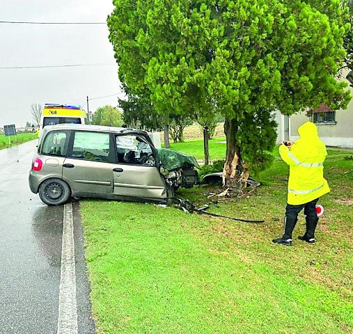 Bevilacqua, auto si schianta contro l’albero: gravi padre e figlio