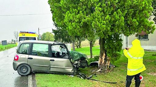 Bevilacqua, auto si schianta contro l’albero: gravi padre e figlio