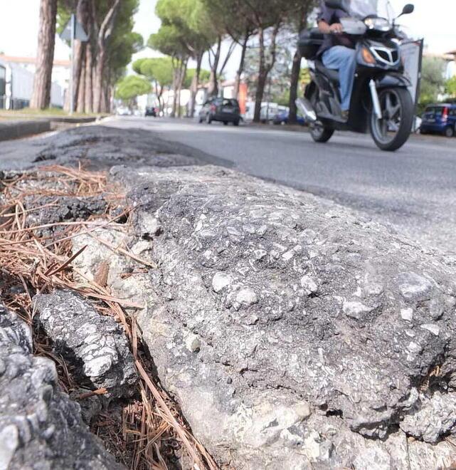 
	Via Rindi a Pisa

