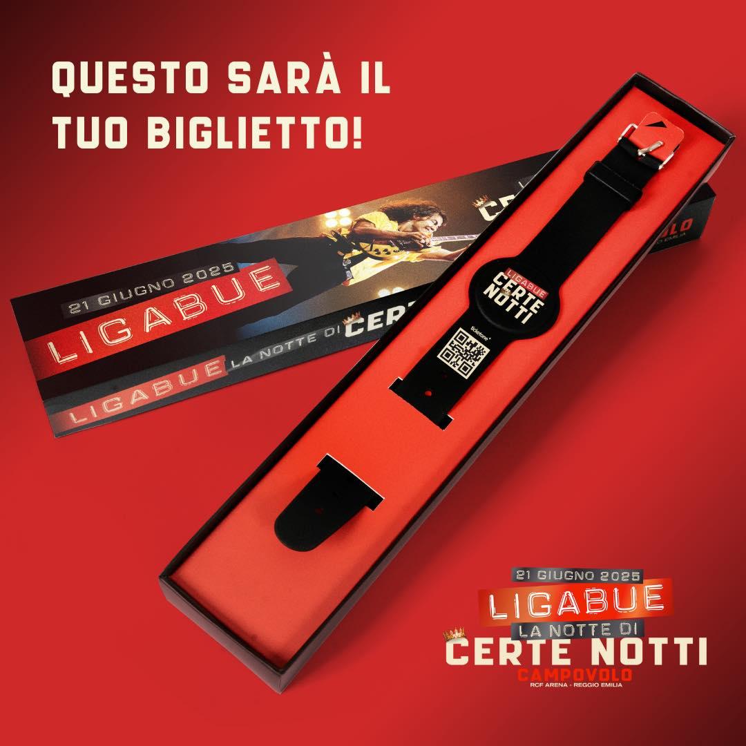 Concerto di Ligabue al Campovolo, venerdì al via le prevendite