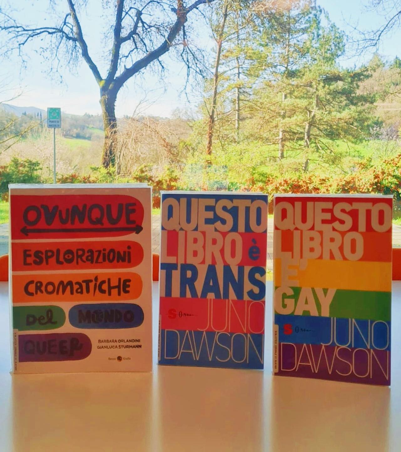 Libri su pari opportunità e gender nascosti o rubati dalla biblioteca: «E’ censura»