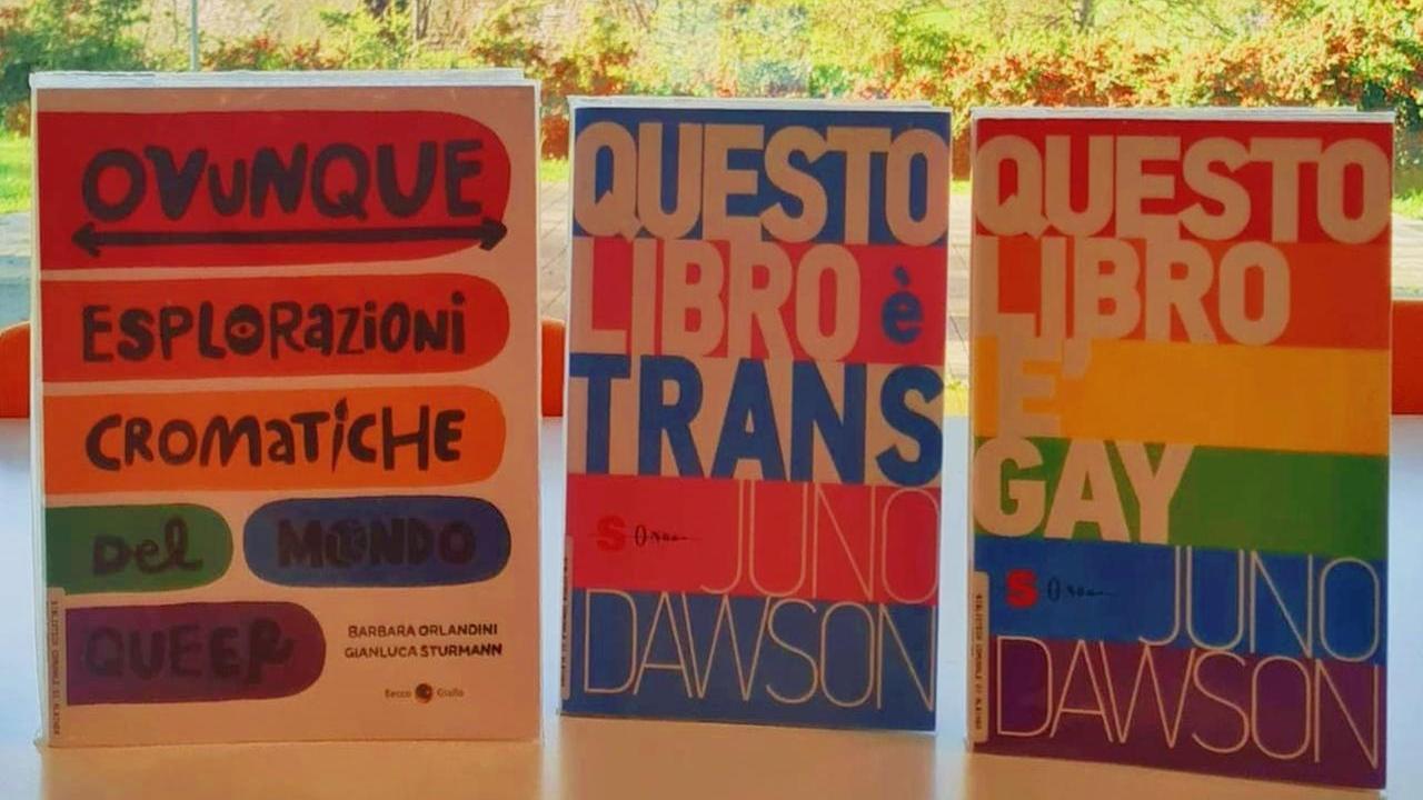 Libri su pari opportunità e gender nascosti o rubati dalla biblioteca: «E’ censura»