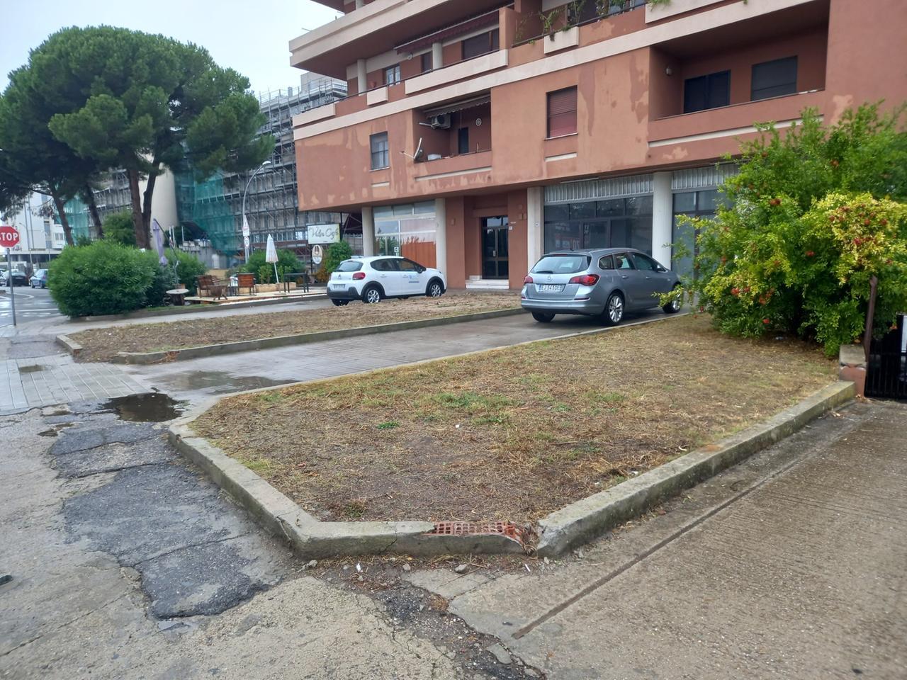 
	Un'aiuola in viale Diaz "adottata" da un cittadino che presto se ne occuper&agrave;

