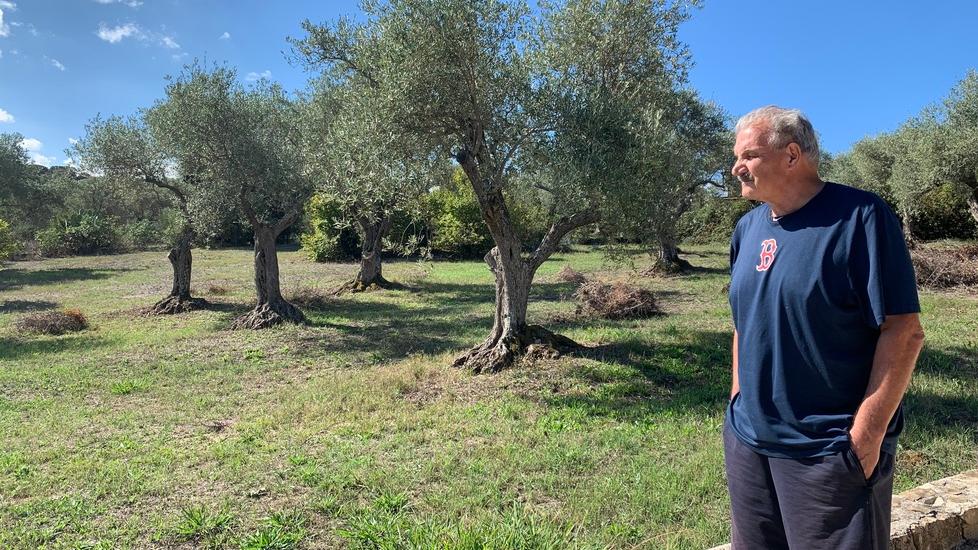 Basket, il buen retiro di Meo Sacchetti: «Senza squadra, ma non pensionato»