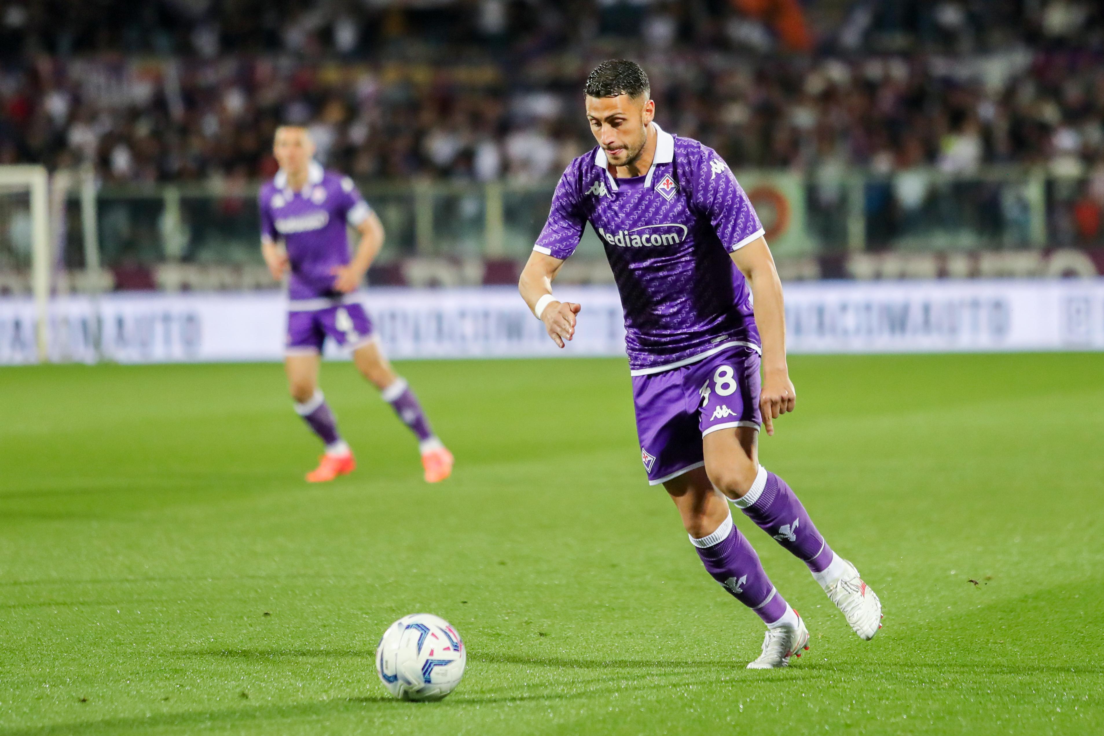 Mandragora in azione