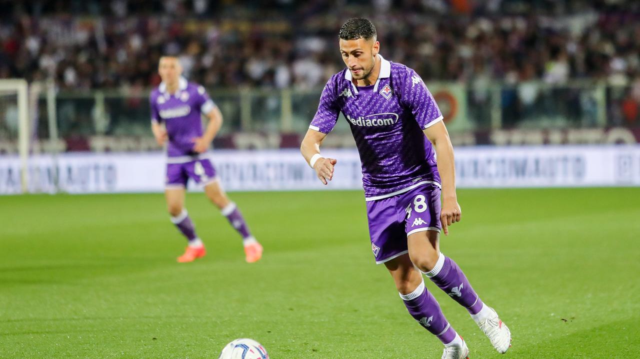 Mandragora in azione