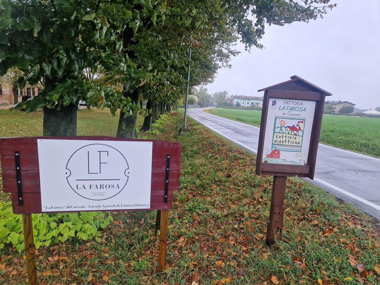 «Via Ferri è pericolosa: cani e gatti travolti dalle auto»