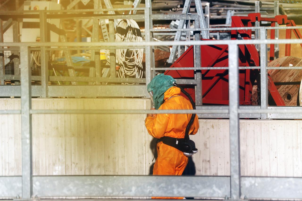 Mattanza di galline a Codigoro, 800mila capi da abbattere