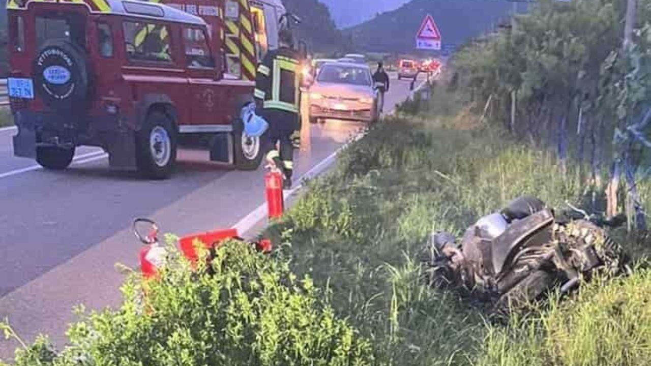 Lucca, scooteristi messi ko dal capriolo: la Regione deve risarcire
