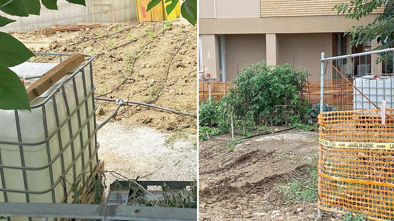 L'orto creato in via Rodocanacchi