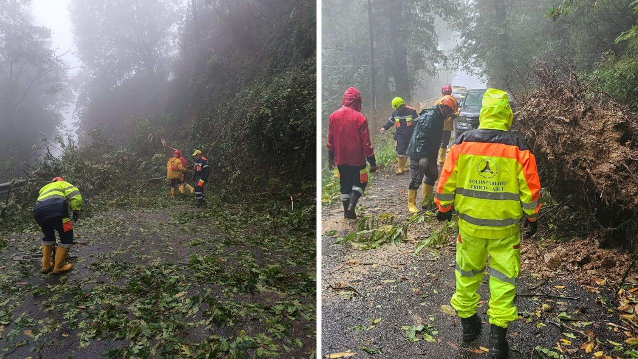 
	Gli alberi caduti a Montignoso


