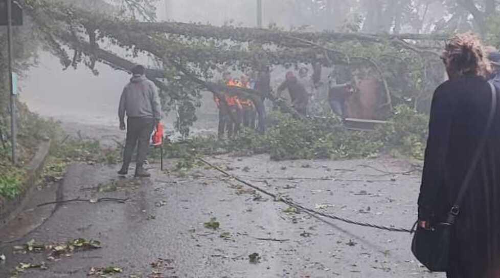 Maltempo a Massa e Carrara: scia di disagi tra strade allagate e un blackout