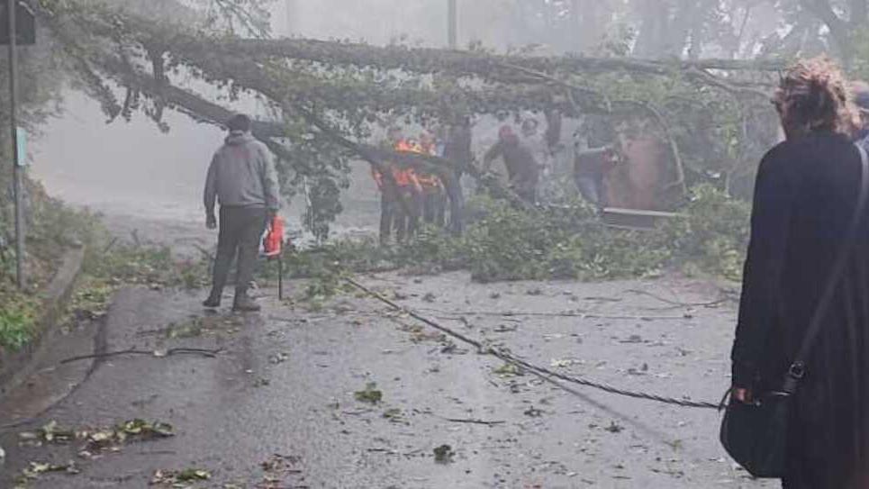 Maltempo a Massa e Carrara: scia di disagi tra strade allagate e un blackout