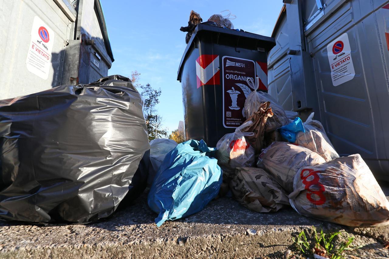 A Ferrara quartieri invasi dai ratti: «Andiamo in cantina con i guanti»