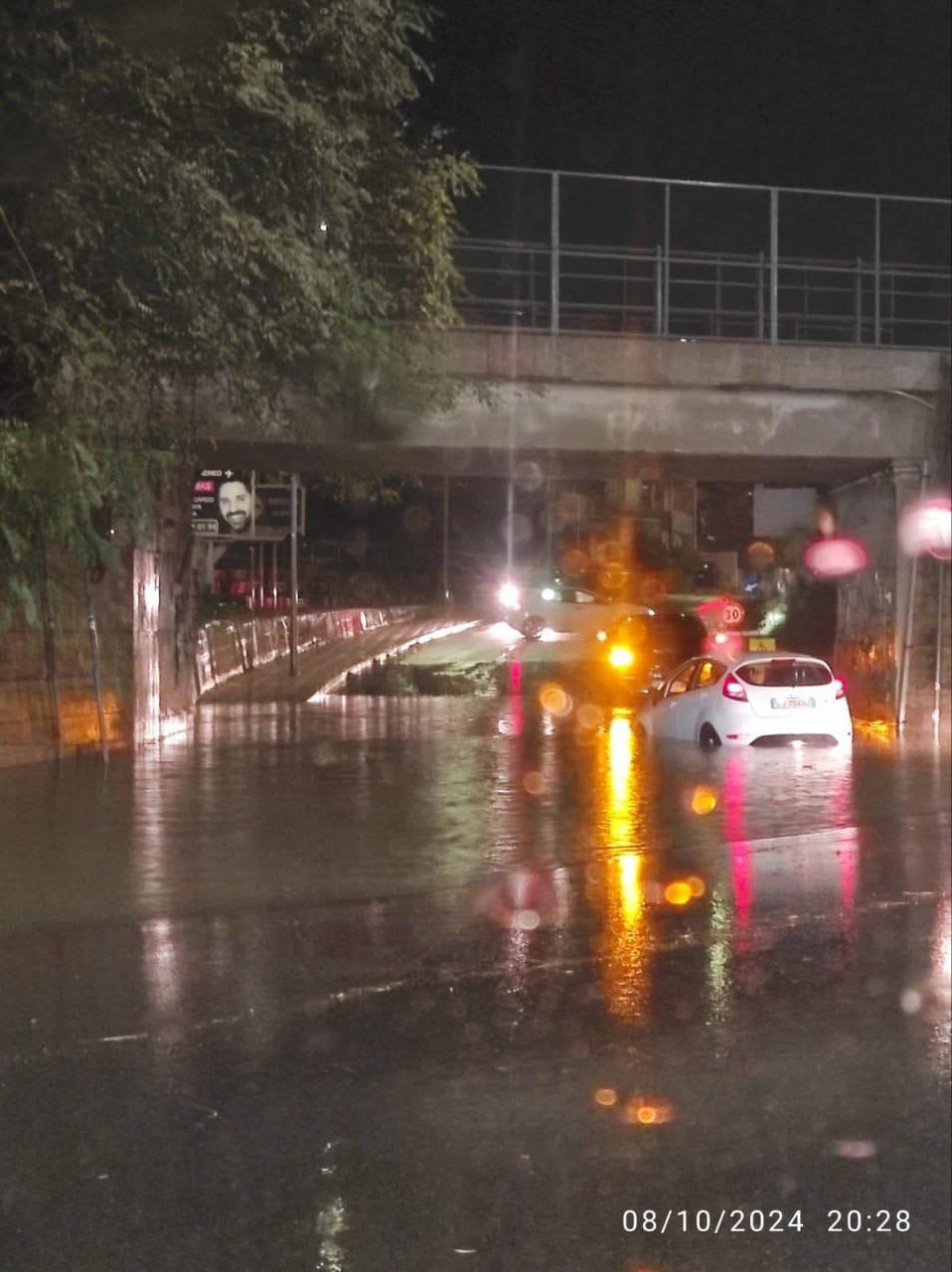 
	La strada di Chirigheddu a Oristano

