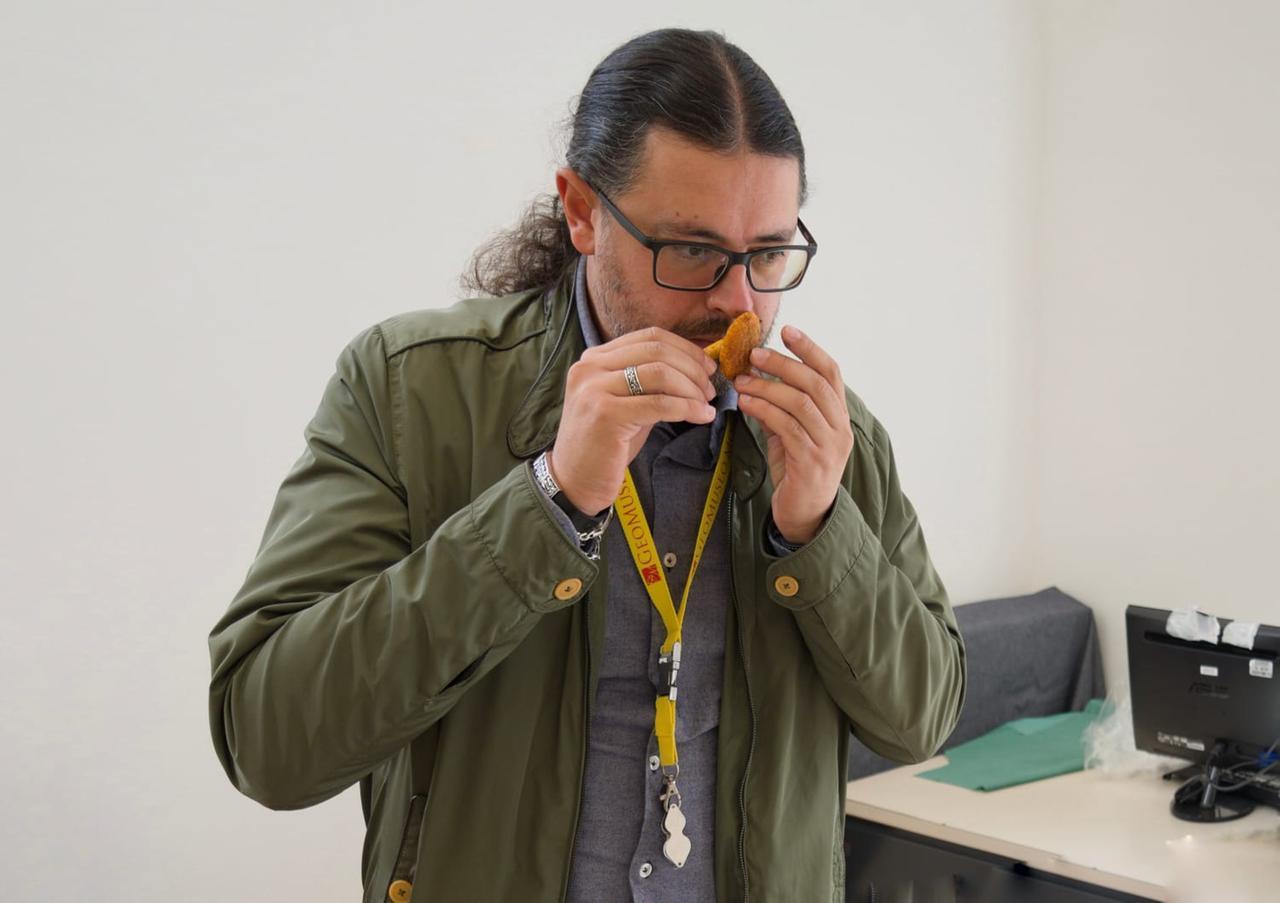 Daniele Fois micologo