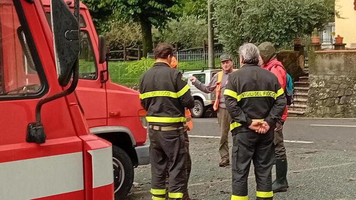 Le ricerche del fungaiolo