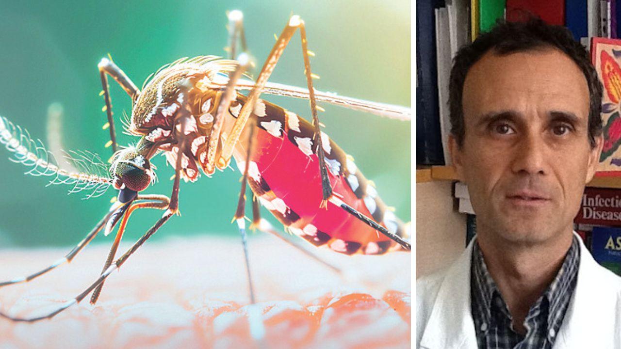 
	Una zanzara tigre e il primario Bartoloni

